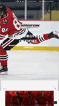 Mobile Screenshot of bauer-hockey.fr